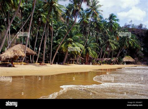 Tourists On The Beach Costa Rica Stock Photo Alamy