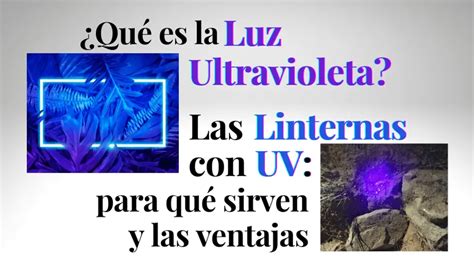 ¿qué Es La Luz Ultravioleta ¿para Qué Sirven Las Linternas Con Uv