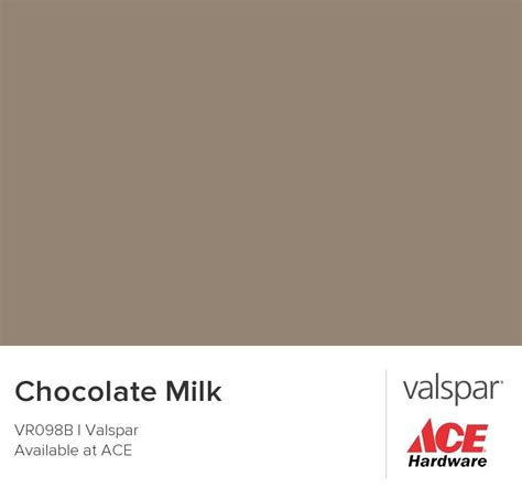 Milk Chocolate Color Paint
