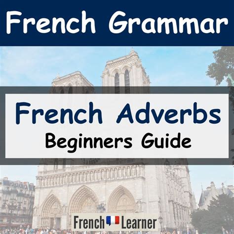 French Negation French Grammar Lessons