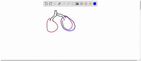 SOLVED:If air enters the intrapleural space (the space between the ...