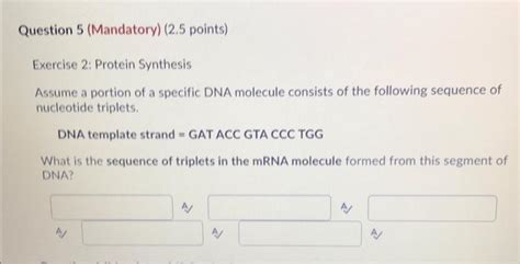Solved Exercise 2: Protein Synthesis Assume a portion of a | Chegg.com 