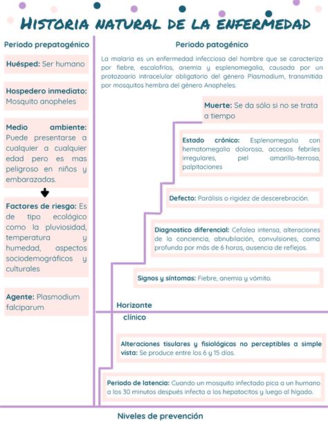 Historia Natural De La Enfermedad Historia Natural De La Enfermedad