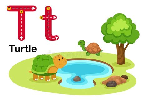 Alphabet Letter T Turtle With Cartoon Vocabulary Illustration Stock