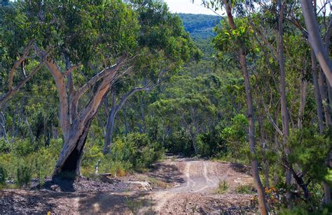 Nsw Community Conservation Areas Nsw National Parks