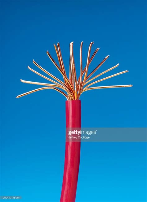 Red Electrical Cable With Splayed Copper Wires Close Up Electrical