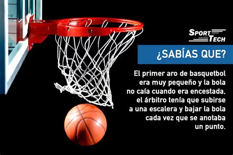 formal Línea del sitio Moretón datos curiosos del baloncesto cangrejo