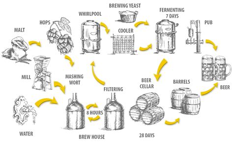 Steps To Brewing At Edwin Davis Blog