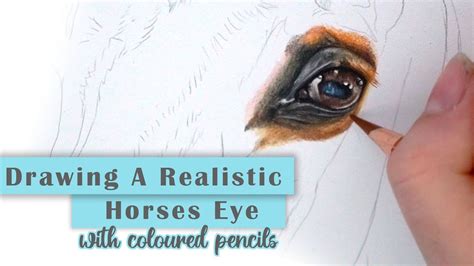 How To Draw A Realistic Horse Eye With Coloured Pencils Youtube