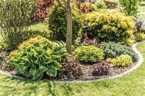 Isla de las plantas de jardín | Foto Premium