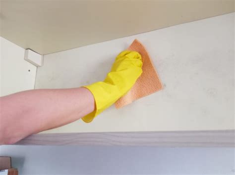 Remove Mold From Shower Cubicles Walls And Wood Some Useful Tips