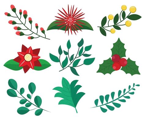 Plantas De Navidad Vector Premium