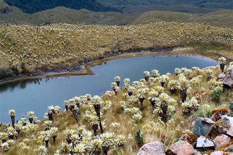 Descubre los Parques Naturales más conocidos de Colombia - redBusBlog