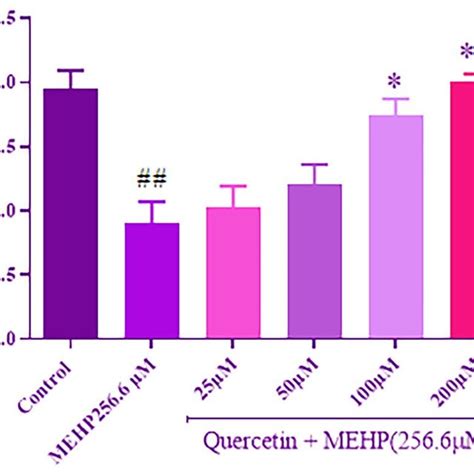 The Cytoprotective Effect Of Quercetin Against MEHP Induced