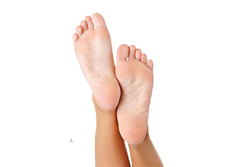 Feet PNG Clipart PNG All