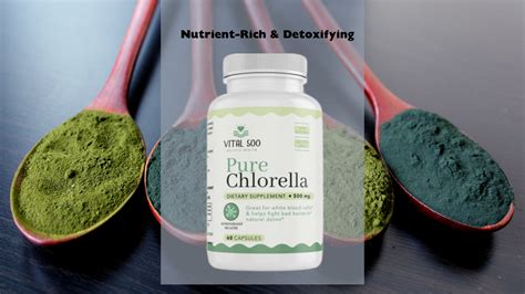 Chlorella Faqs Everything You Need To Know Vital 500