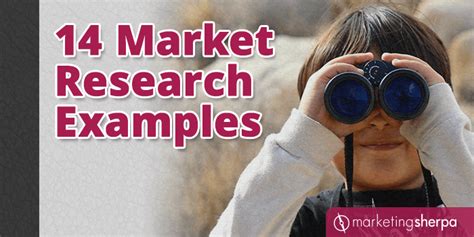 14 Market Research Examples | MarketingSherpa