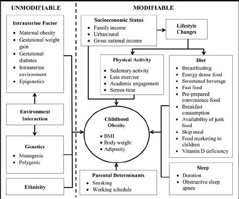 Theoretical Framework Of Obesity Prevention