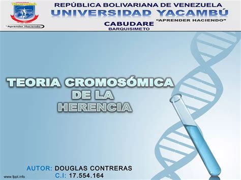 Teoria Cromosomica De La Herencia Ppt