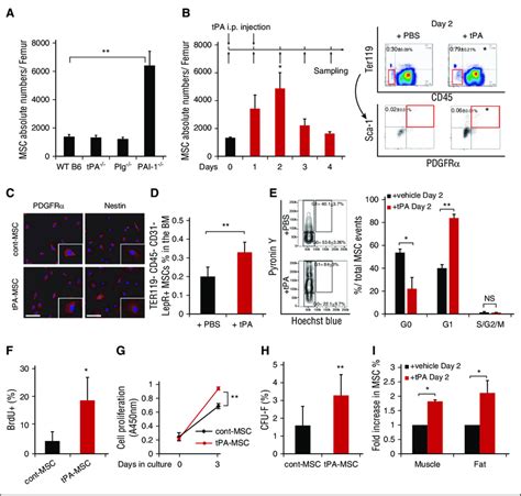 Tissue Type Plasminogen Activator Expands CD45 2 Ter119 2 Sca 1 1