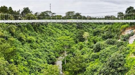 The Thrilling River Crossing Across A Glass Bridge Bvlgari Resort Bali