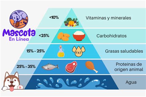 Pirámide Alimenticia para Perros Mascota en Línea