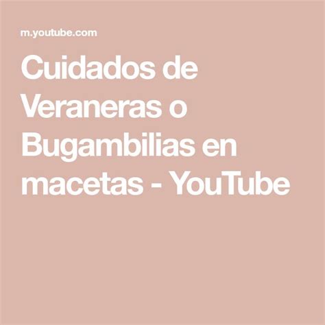 Cuidados De Veraneras O Bugambilias En Macetas Youtube Bugambilia