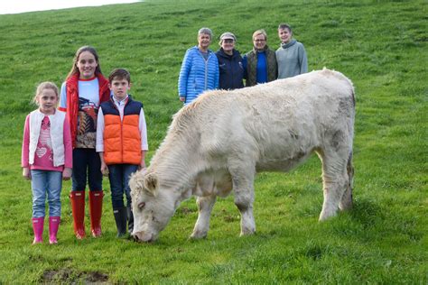 Charolais Angels Sell Heifer To Fundraiser For Cancer Agriland Ie