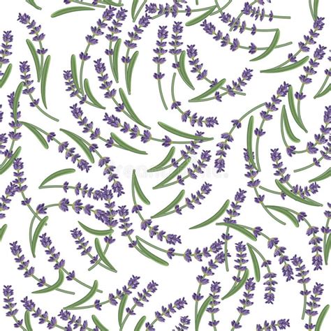 Wildflower Lavender Flower Pattern In A Watercolor Style Isolated