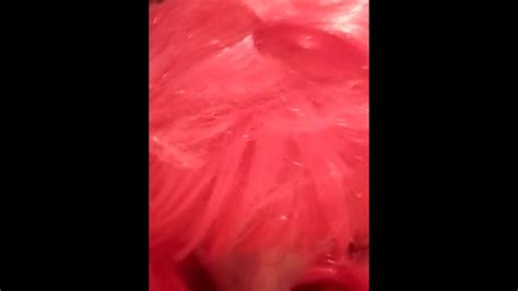 Sissy Magda Sucking First Time Sucking Dildo Pornhub