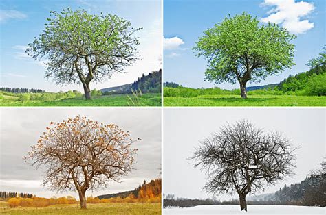 change  season quotes changing seasons quotes loveable