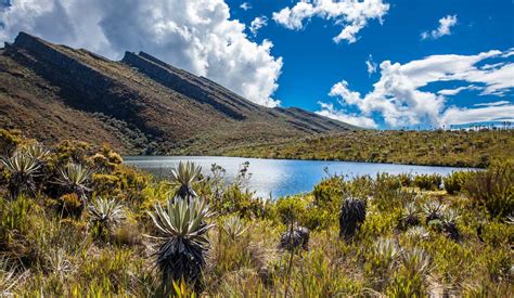 5 Places to See Amazing Wildlife in Colombia | Uncover Colombia