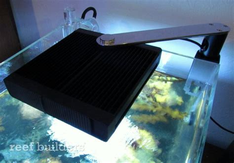 Top 5 LED lights for nano reef aquariums in 2012 - Reef Builders | The Reef and Marine Aquarium Blog