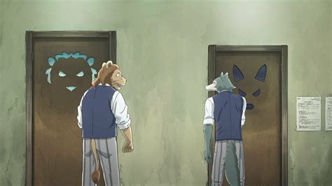 Beastars Wallpapers Wallpaper Cave