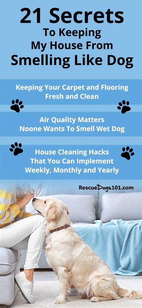 how to get dog odor out of house
