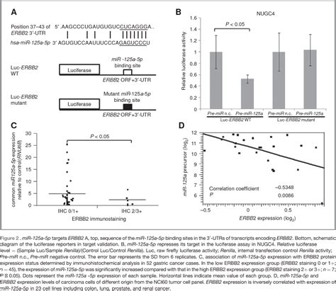 Figure 1 From Gastric Cancer Cells In Combination With Trastuzumab