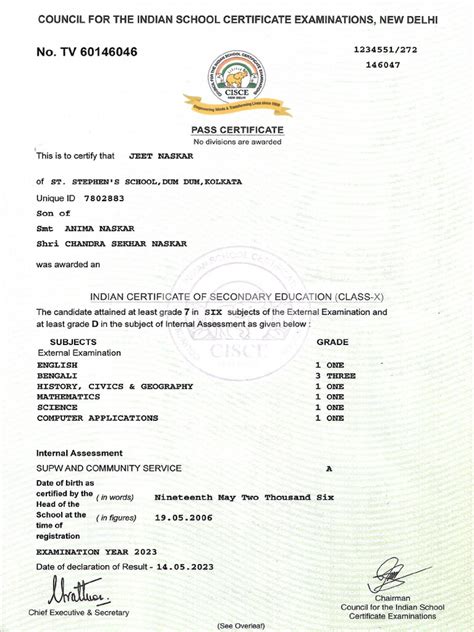 ICSE RESULT | PDF