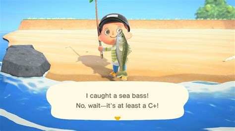 Animal Crossing New Horizons Fish Guide Media Referee