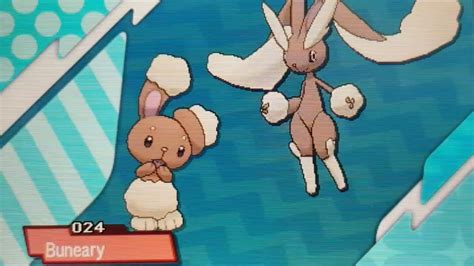 Pokemon Ultrasun Buneary Evolving Into Lopunny Youtube