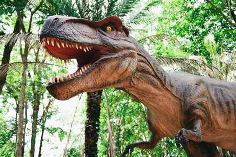 Dinosaur Statue in the Forest Park - Tyrannosaurus Rex Editorial Photography - Image of colorful ...