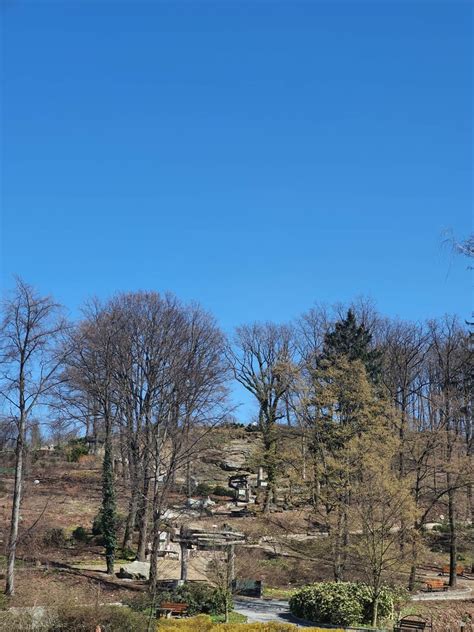 Arboretum Wojsławice jeden z najpiękniejszych ogrodów na Dolnym Śląsk