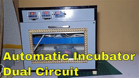 Automatic Incubator With Xh W3005 Humidity Controller YouTube