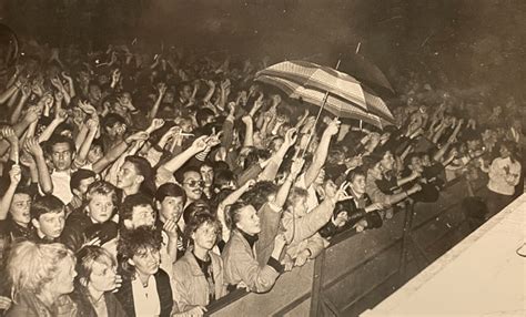 Qazimodo — сайт Эдмунда Шклярского