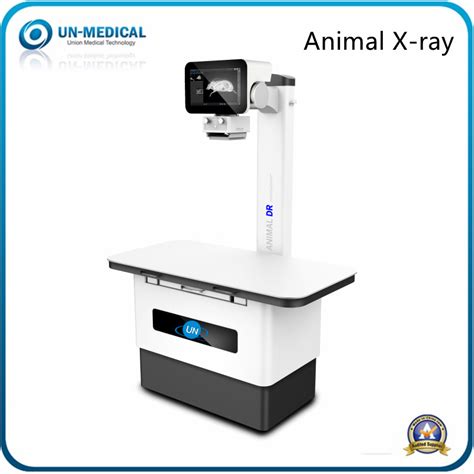 Veterinary Equipment Digital Vet X Ray Machine China Vet X Ray