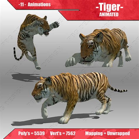 3d Model Tiger Animated Vr Ar Low Poly Rigged Animated Cgtrader