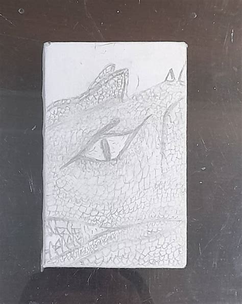 Allosaurus Book Cover By Mystinv On Deviantart