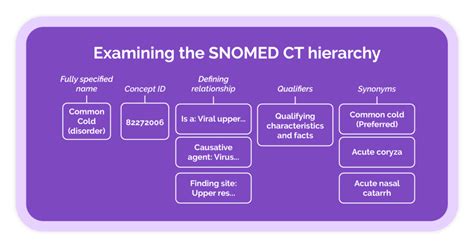 SNOMED CT 101 A Guide To The International Terminology System IMO