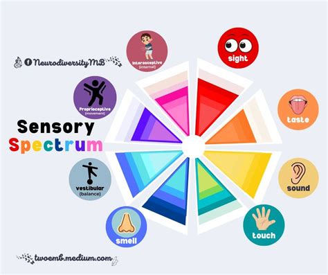 Sensory Profiles Activities And Diets Package