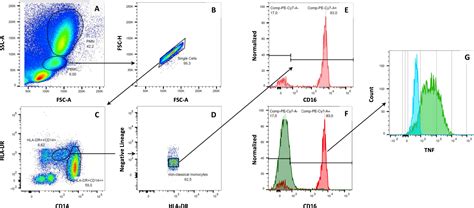 Frontiers An Unbiased Flow Cytometry Based Approach To Assess Subset