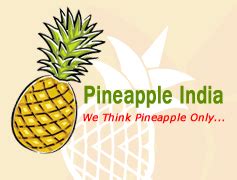 Frozen Pineapple Concentrate Manufacturer Frozen Pineapple Juice